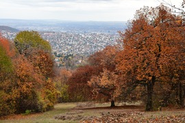 Előtted a város...