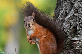 Komolyan 20 fok jön? :O