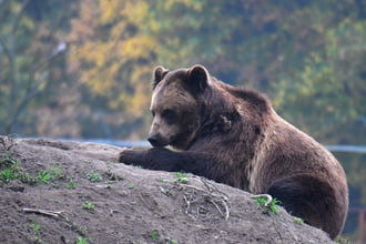 Ébresztő a téli álomból... Nincs árnyék, kint lehet maradni :)