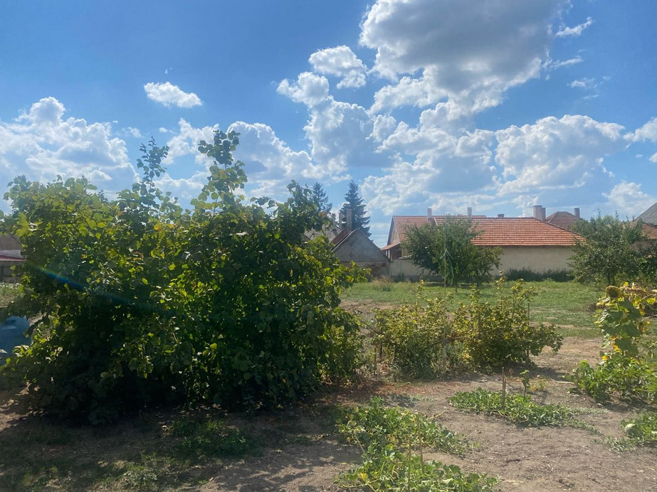 Fehérgyarmat