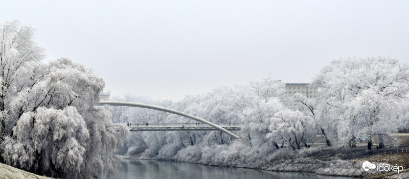 Szolnok Tiszavirághíd