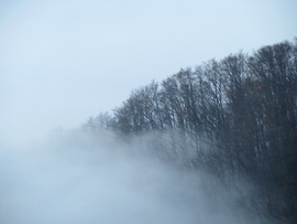 Elnyeli a köd