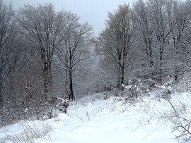 Bükkszentkereszt 2025.11.24