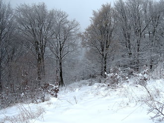 Bükkszentkereszt 2025.11.24