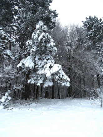 Bükkszentkereszt 2025.11.24