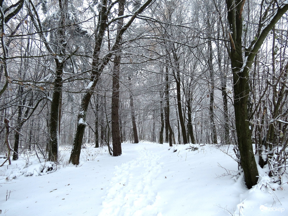Bükkszentkereszt 2025.11.24