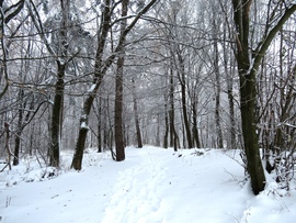 Bükkszentkereszt 2025.11.24