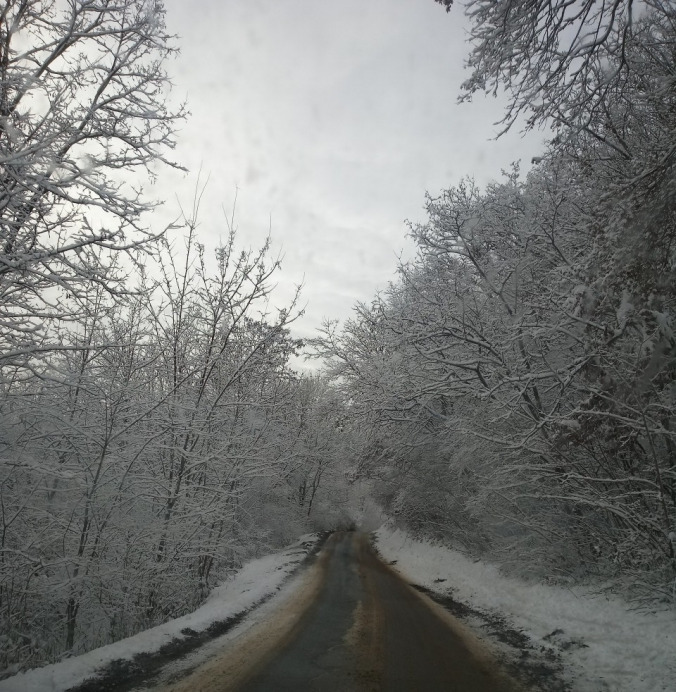 Varbóc