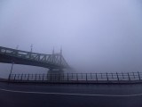 Reggi köd