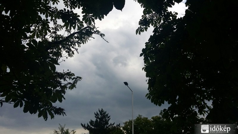 Gyula