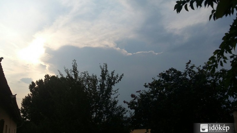 Gyula
