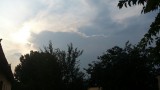 Gyula