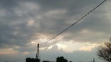 Gyula