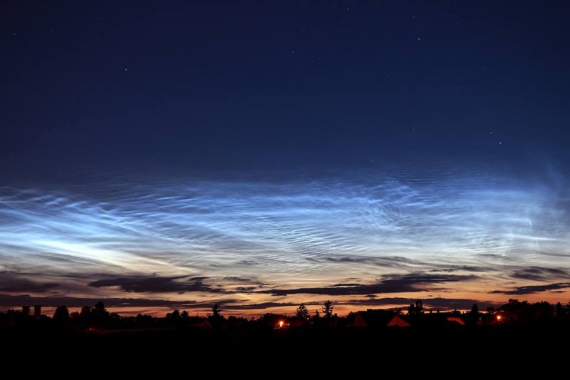 NLC