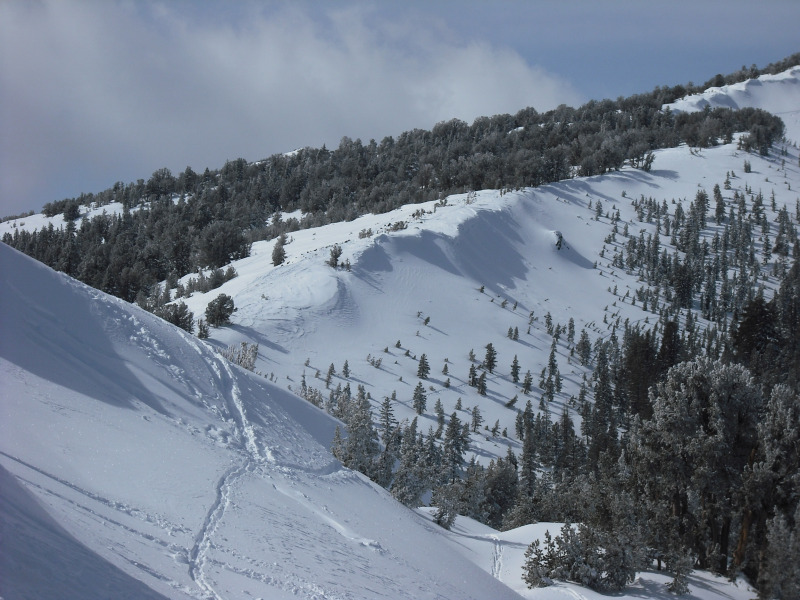 Mt. Rose - Neveda - Hó