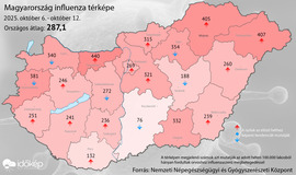 metbalazs fotója