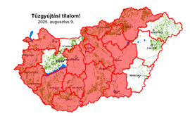 metbalazs fotója