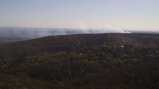 Budaörsi erdőtűz