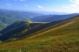 Áfonya és vorösáfonya sokasága az Ukrán-Kárpátokban