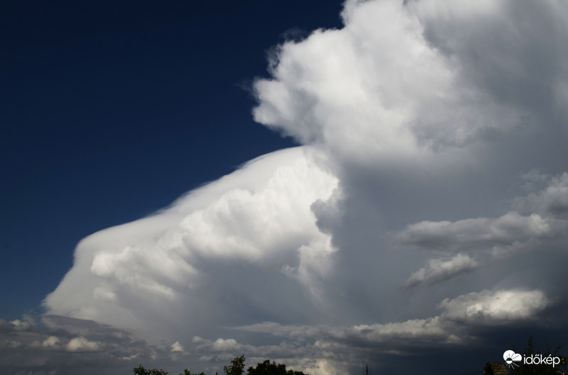 Hatalmas pileus
