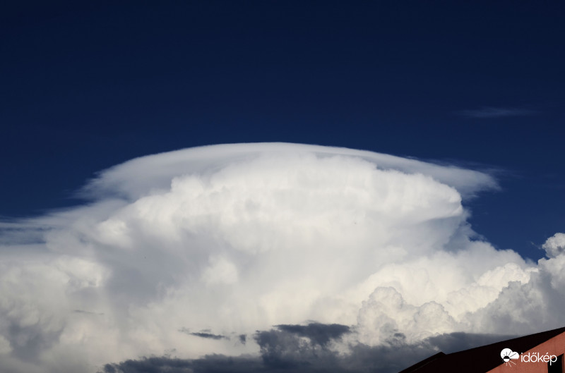 Hatalmas pileus 2.