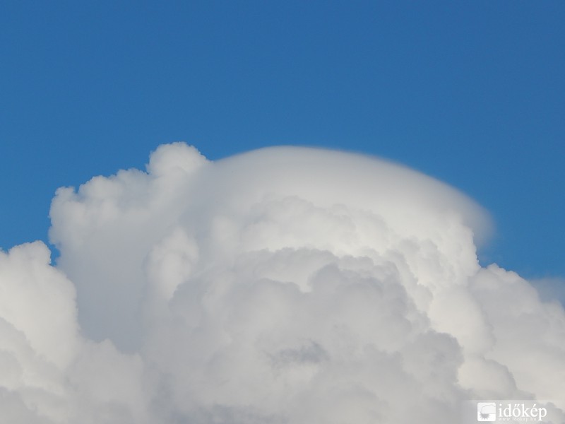 Pileus