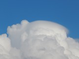 Pileus