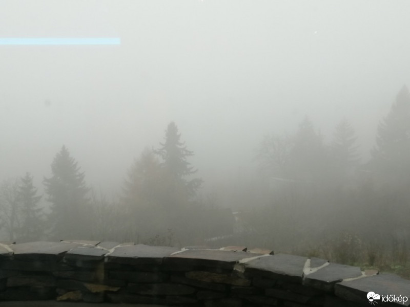 Vác-Nyulas