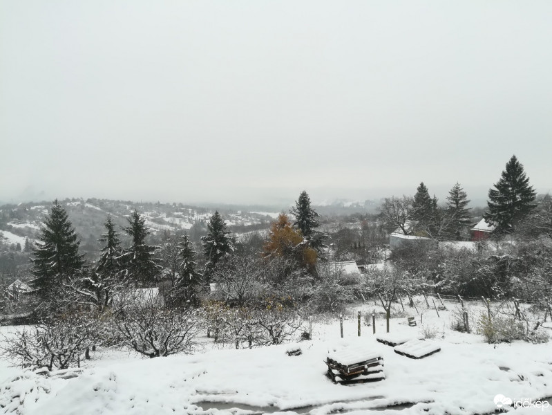 Vác-Nyulas