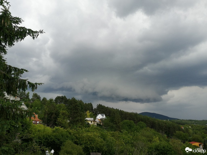 Vác-Nyulas