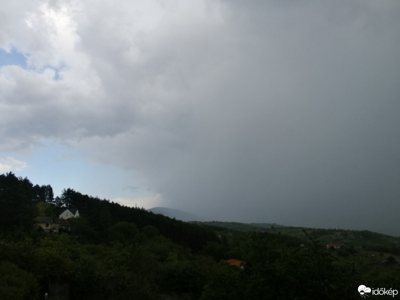 Vác-Nyulas