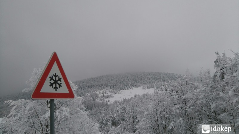 Vác-Nyulas