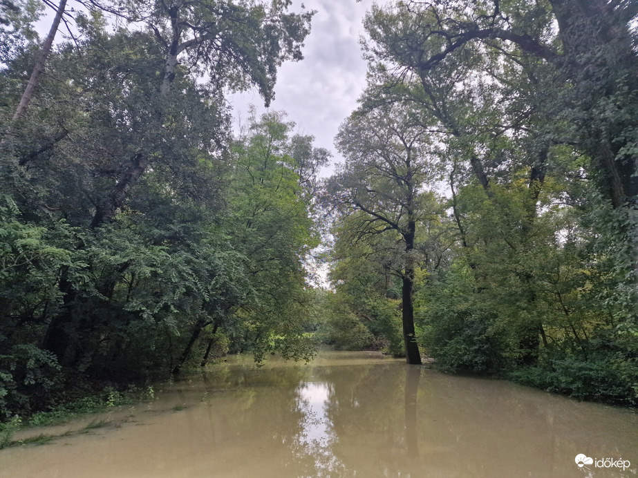 Sződliget