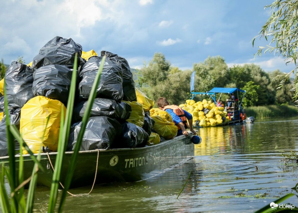 11 tonna hulladékot szedtek össze a Bodrognál