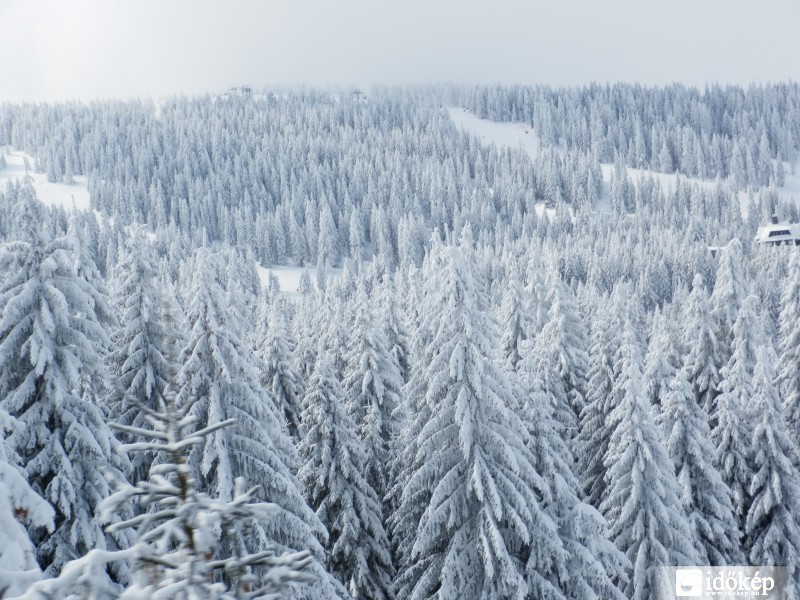 Szerbia - Kopaonik