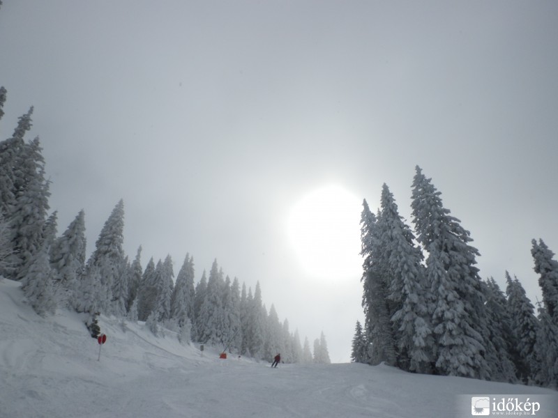 Szerbia - Kopaonik