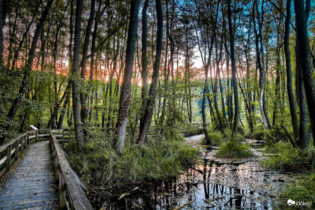 A Tatai Fényes Tanösvény