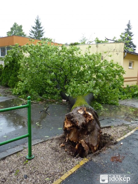 Celldömölk - Gyuricza Imre képe