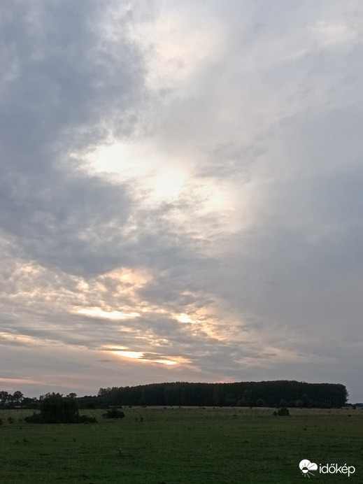 Mezőpeterd