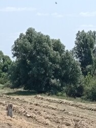 Berettyóújfalu