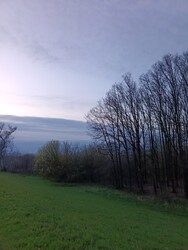 Berettyóújfalu