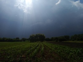 Vihar előtti csend 2 