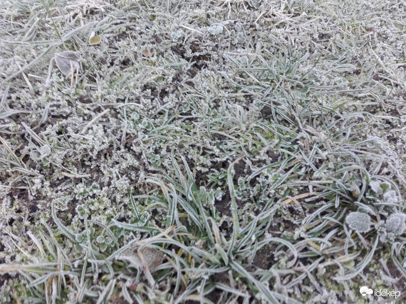 Fagyos füvek