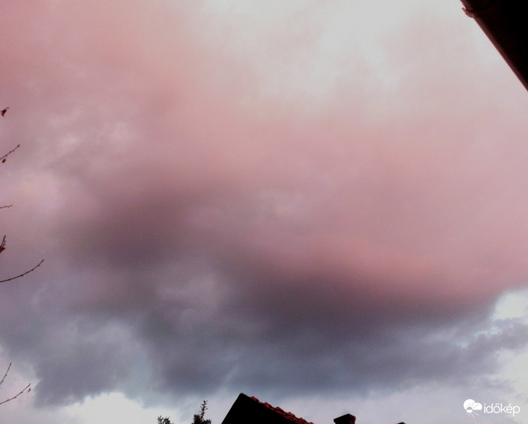 Rózsaszín vihar 