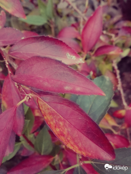 Átöltözött új ruhába 