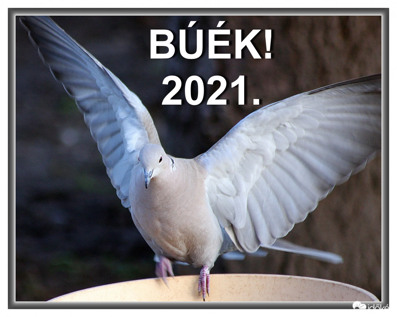 BÚÉK