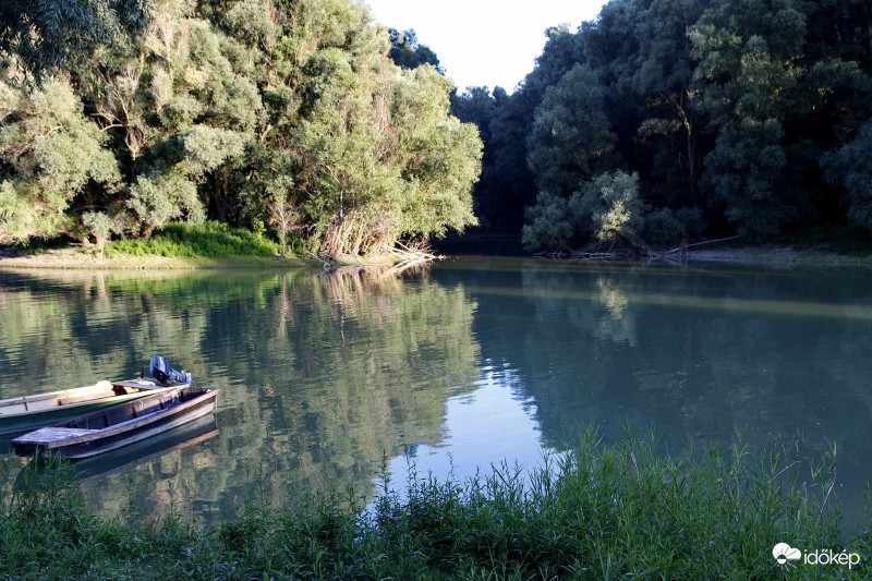 Tükröződés a holtágban