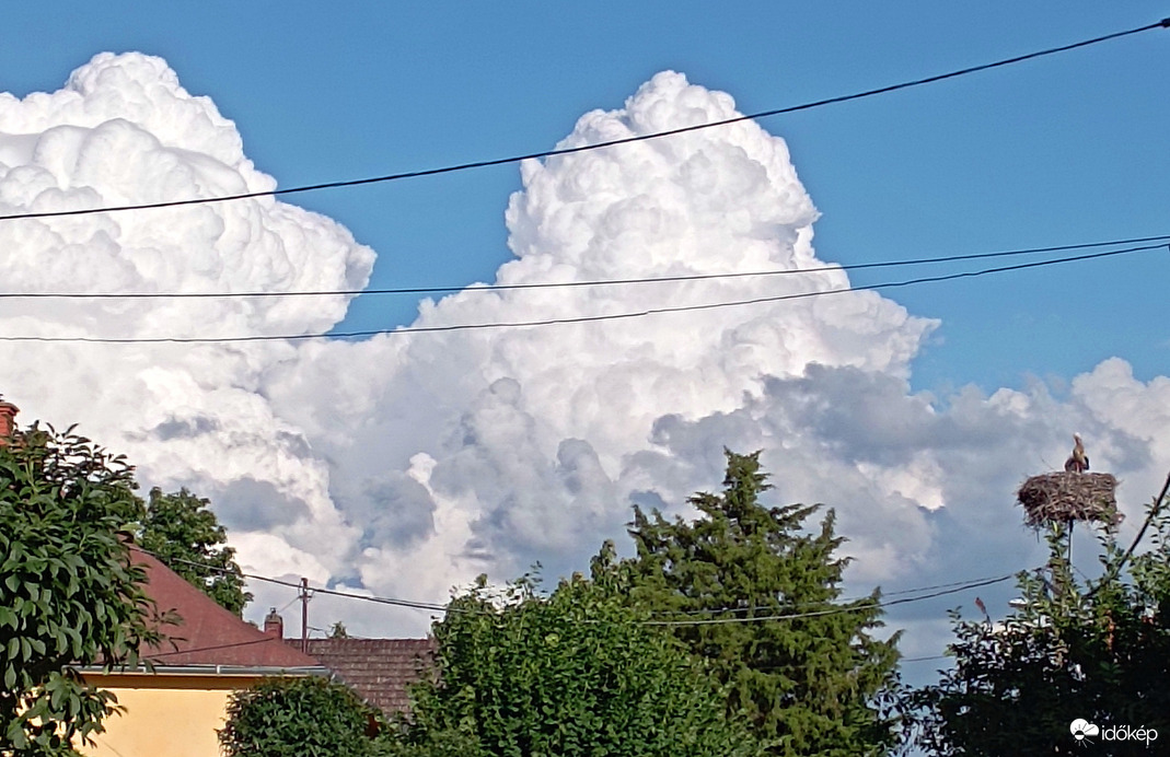 Gomolyfelhők gólyákkal 3