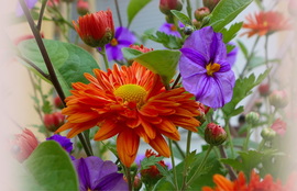 Ősz és nyár virágai