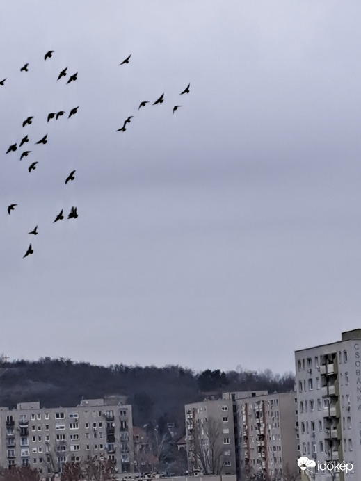 Budapest III.ker - Békásmegyer